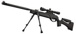 Carabine Gamo HPA IGT