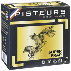Cartouche Pisteurs 36